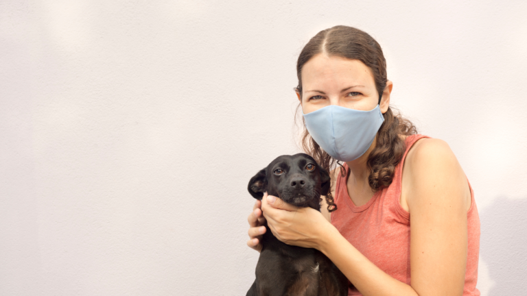 Pet sitter wearing gloves and mask while caring for a dog in Columbus, Ohio