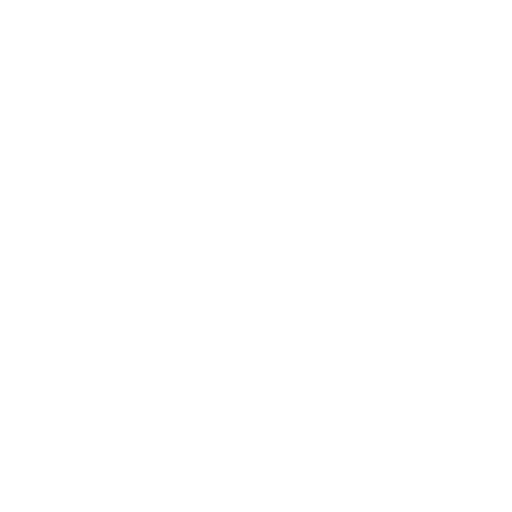 checklist ico