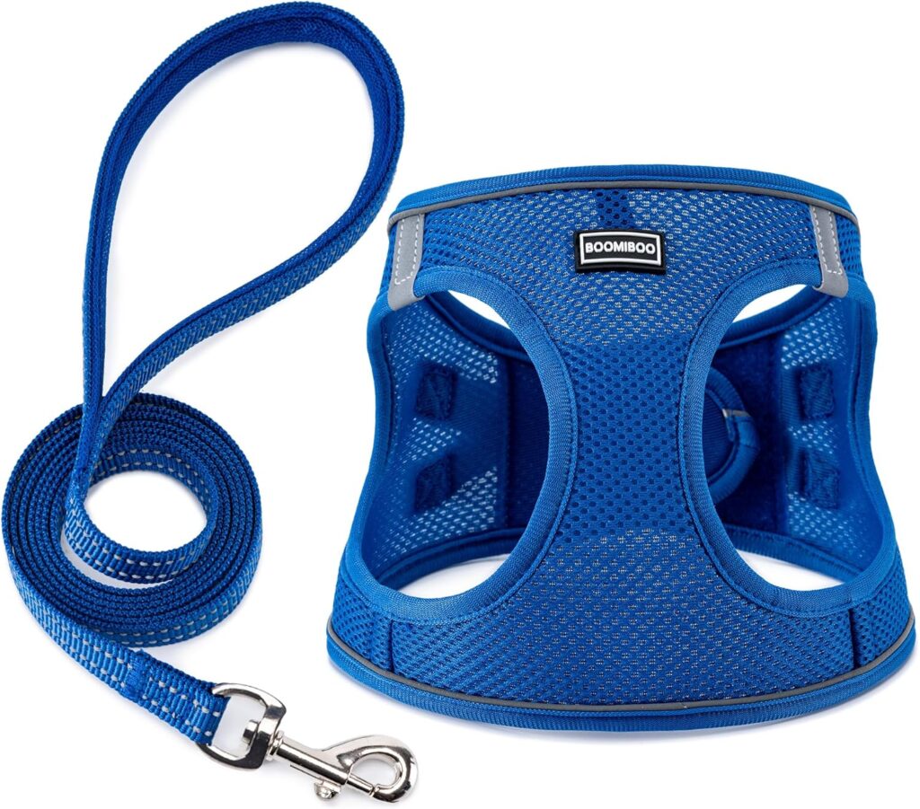 Vest harness as used by dog walkers in Columbus, Ohio