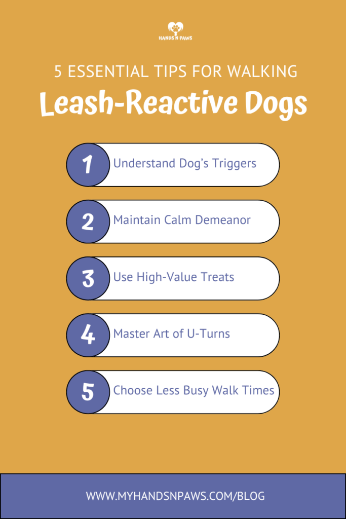 Tips from Columbus, Ohio dog walkers on managing leash-reactive dogs.