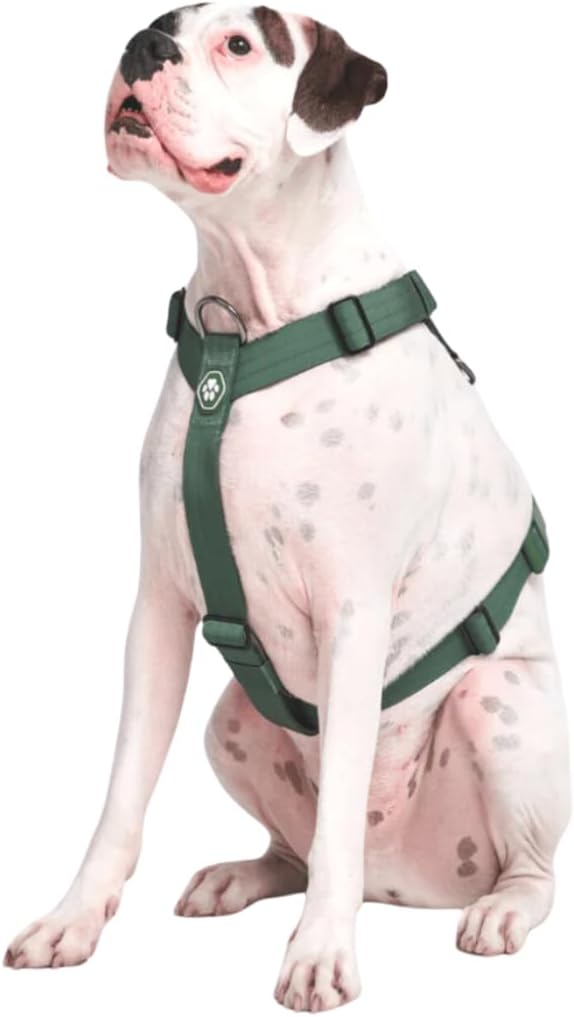 No pull dog harness as used by dog walkers in Columbus, Ohio