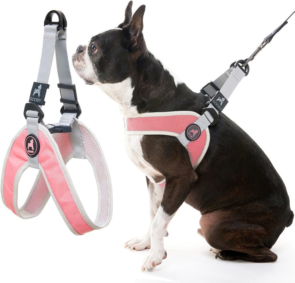 Step-in harness as used by dog walkers in Columbus, Ohio