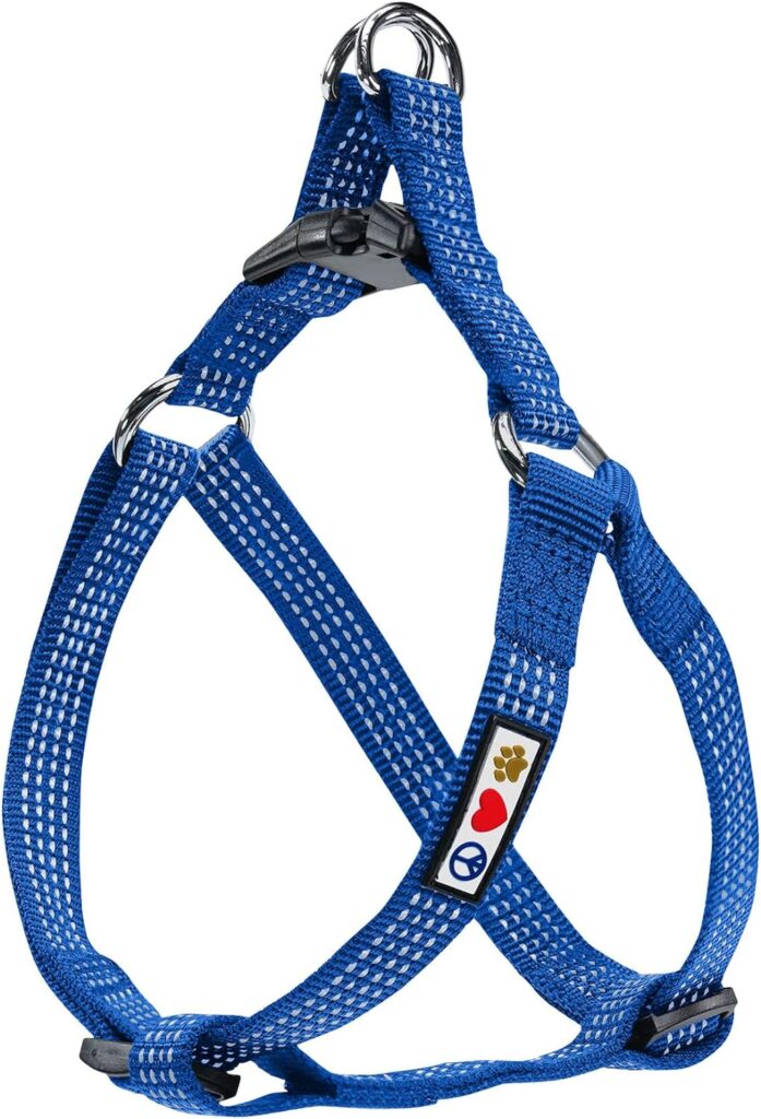 Back-clip harness for dog walkers in Columbus, Ohio