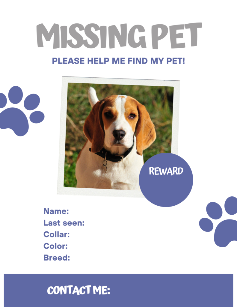 Missing pet flyer for dog walkers in Columbus to utilize.