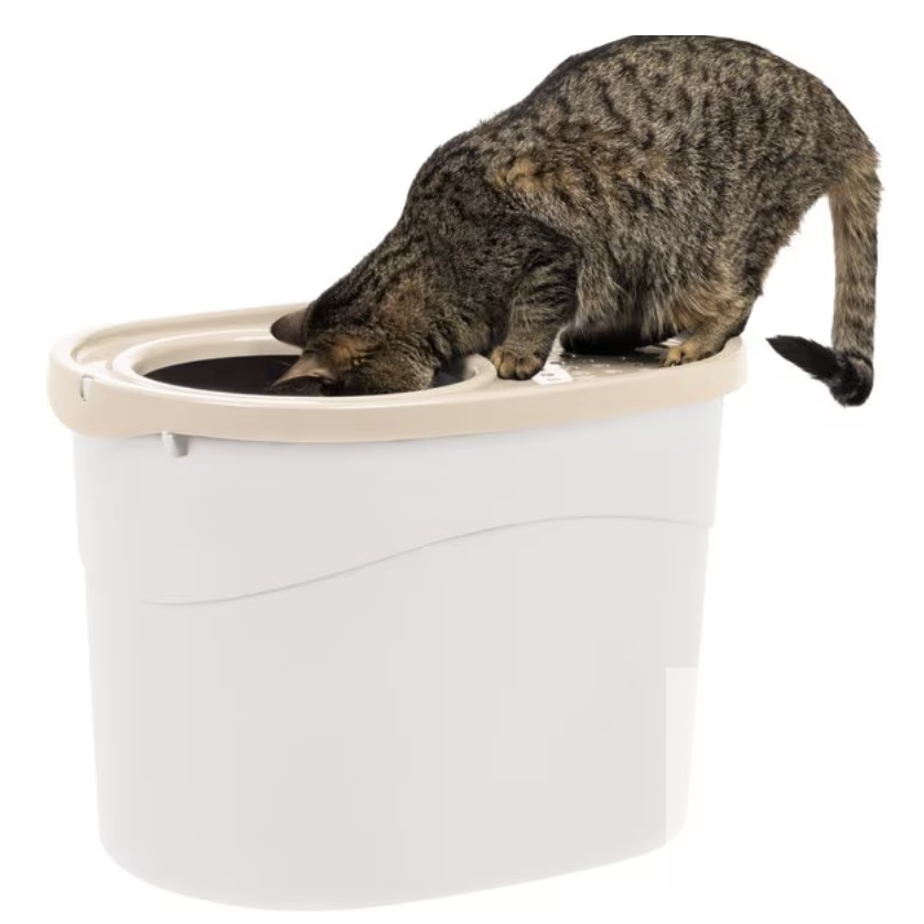 Top-entry litter boxes that are frequented by cat sitters in Columbus, Ohio.