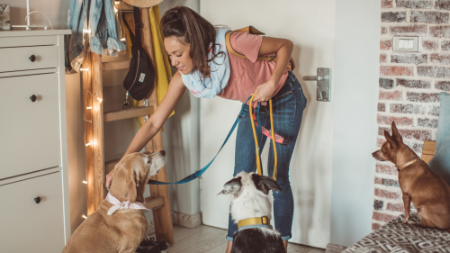 A professional pet sitter smiling while on a pet visit in Columbus, Ohio.