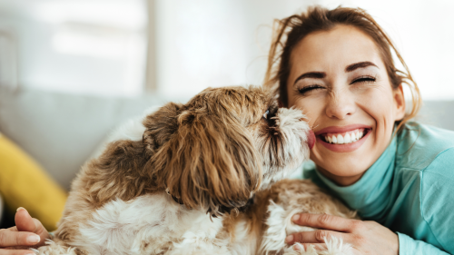 Pet sitter in Columbus, Ohio caring for a happy dog during the holiday season.