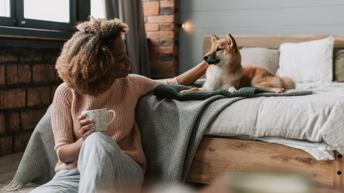 A professional pet sitter in Columbus, Ohio providing in-home dog sitting for a happy and content pup.