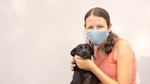 Pet sitter wearing gloves and mask while caring for a dog in Columbus, Ohio